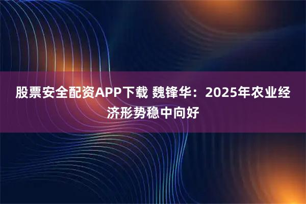 股票安全配资APP下载 魏锋华：2025年农业经济形势稳中向好