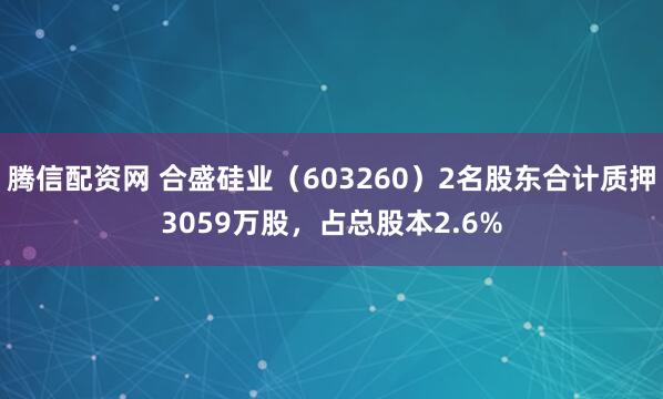 腾信配资网 合盛硅业（603260）2名股东合计质押3059万股，占总股本2.6%